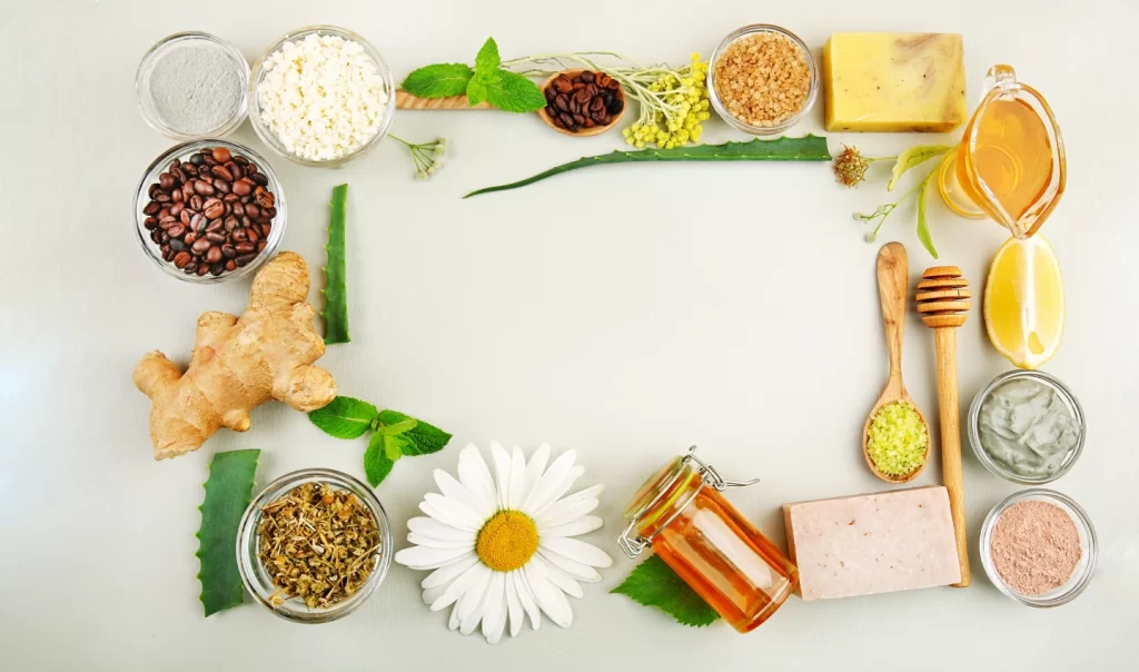 Raw organic materials for DIY toner recipes, including rose petals, aloe vera leaves, green tea leaves, apples, and witch hazel bark.