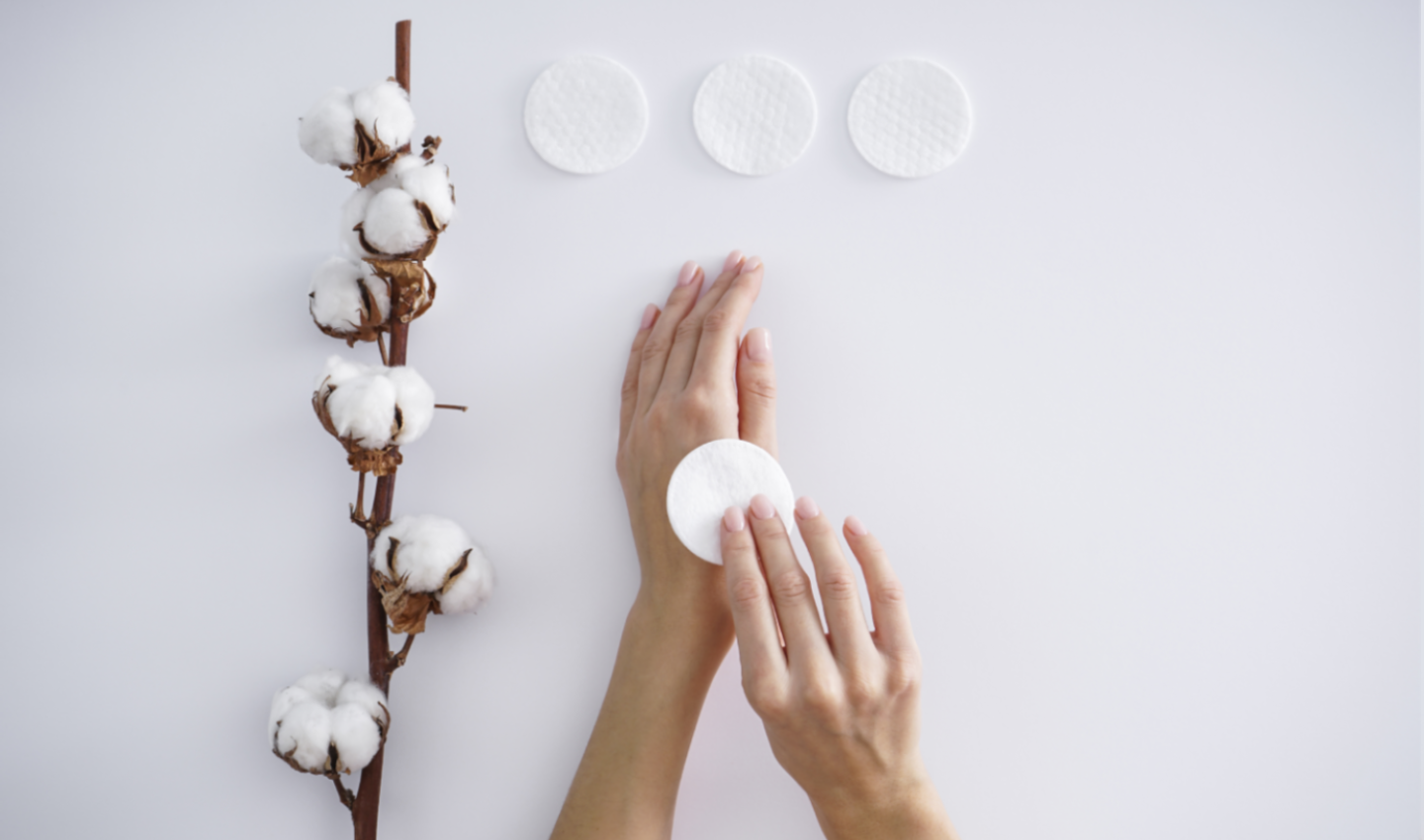 A cotton branch and pieces of cotton with hands holding them, representing sustainable makeup removers.