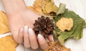 Close-up shot of a woman's hand with beautifully manicured nails painted in one of the top 10 fall wedding nail polish colors including burgundy, navy, pumpkin spice, forest green, rustic red, elegant neutrals, sophisticated grey, berry beautiful, bold blues, and pretty in pink.