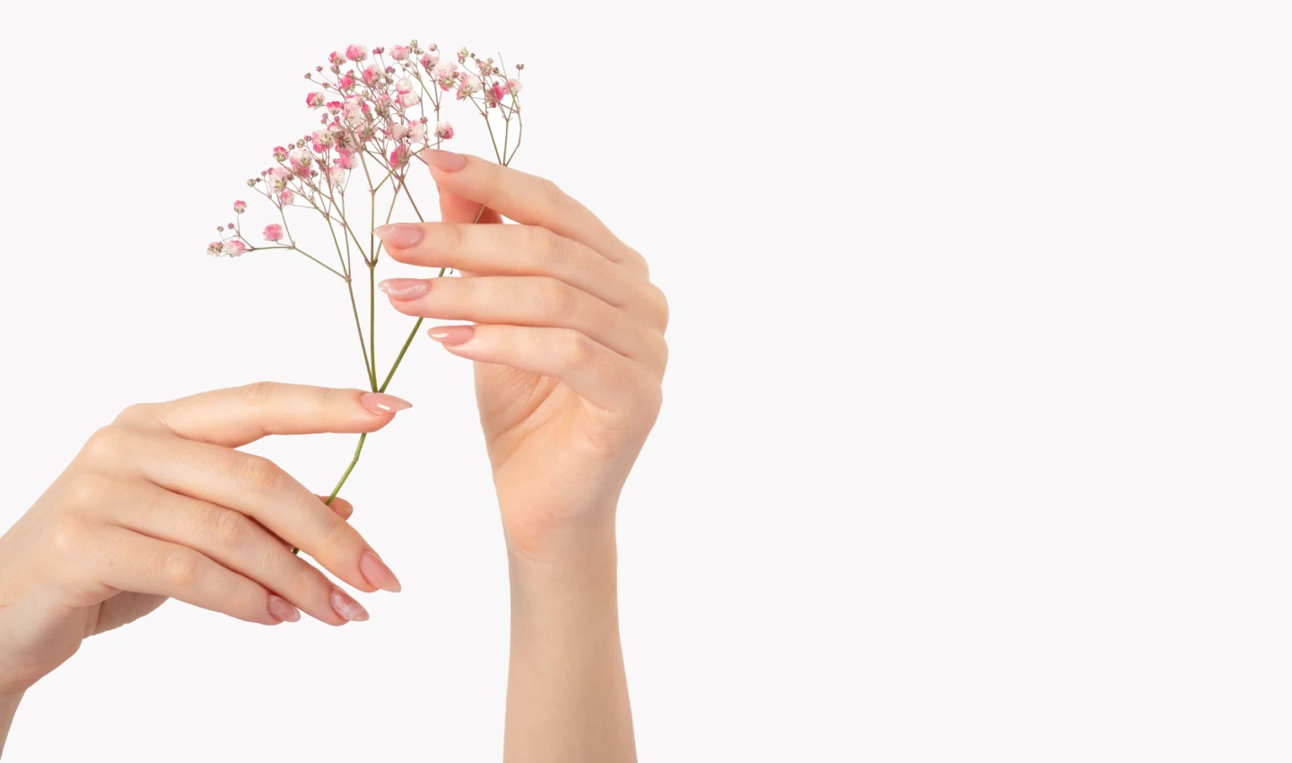 Hands holding a flower, representing the need for nail polish for sensitive skin.