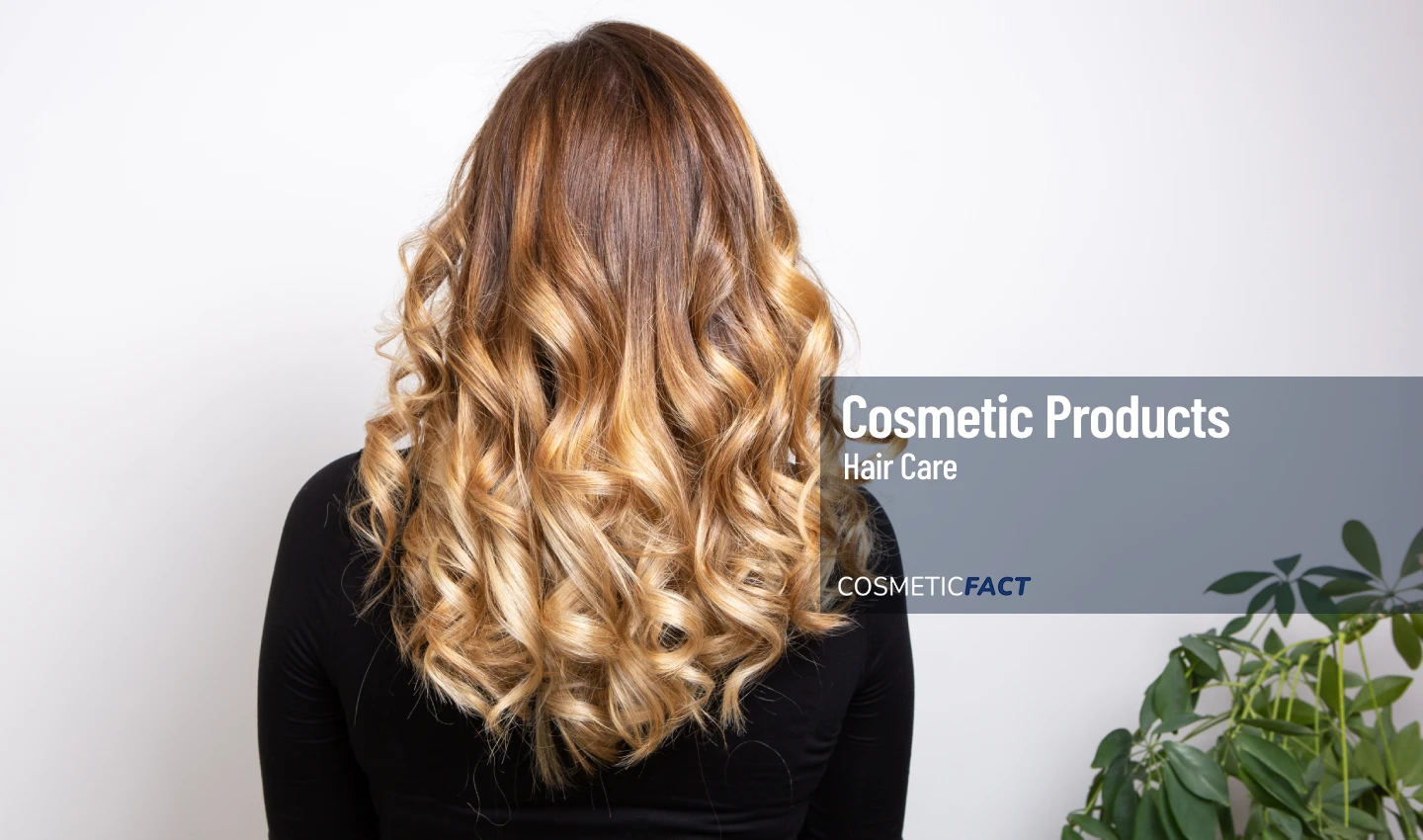 A beautiful woman with long, attractive hair showcases the art of balayage, with subtle highlights that create a glowing effect and enhance her natural beauty. Explore the world of balayage and achieve luminous hair color illumination with our tips and techniques.