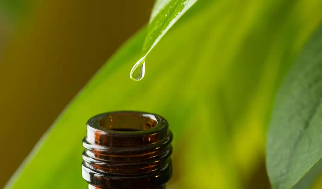 Image of Ferulic Acid Serums: Herbal alternative medicine with a water drop falling from a leaf into a bottle.