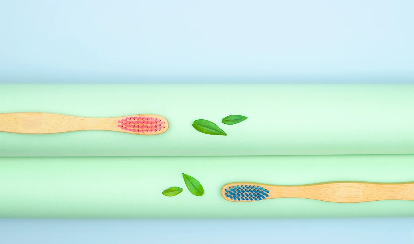 Two sensitive toothbrushes, one blue and one red, placed next to some green leaves – "Teeth-Sensitive Products