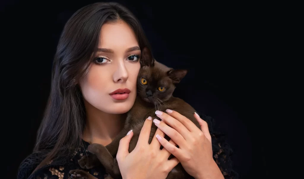Dramatic Cat Eye: Image of a young beautiful woman with bright makeup holding a cat