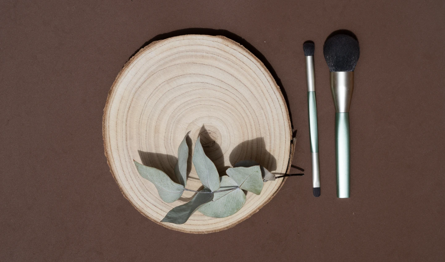 Natural Eye Shadow brushes, tree stump, and leaves
