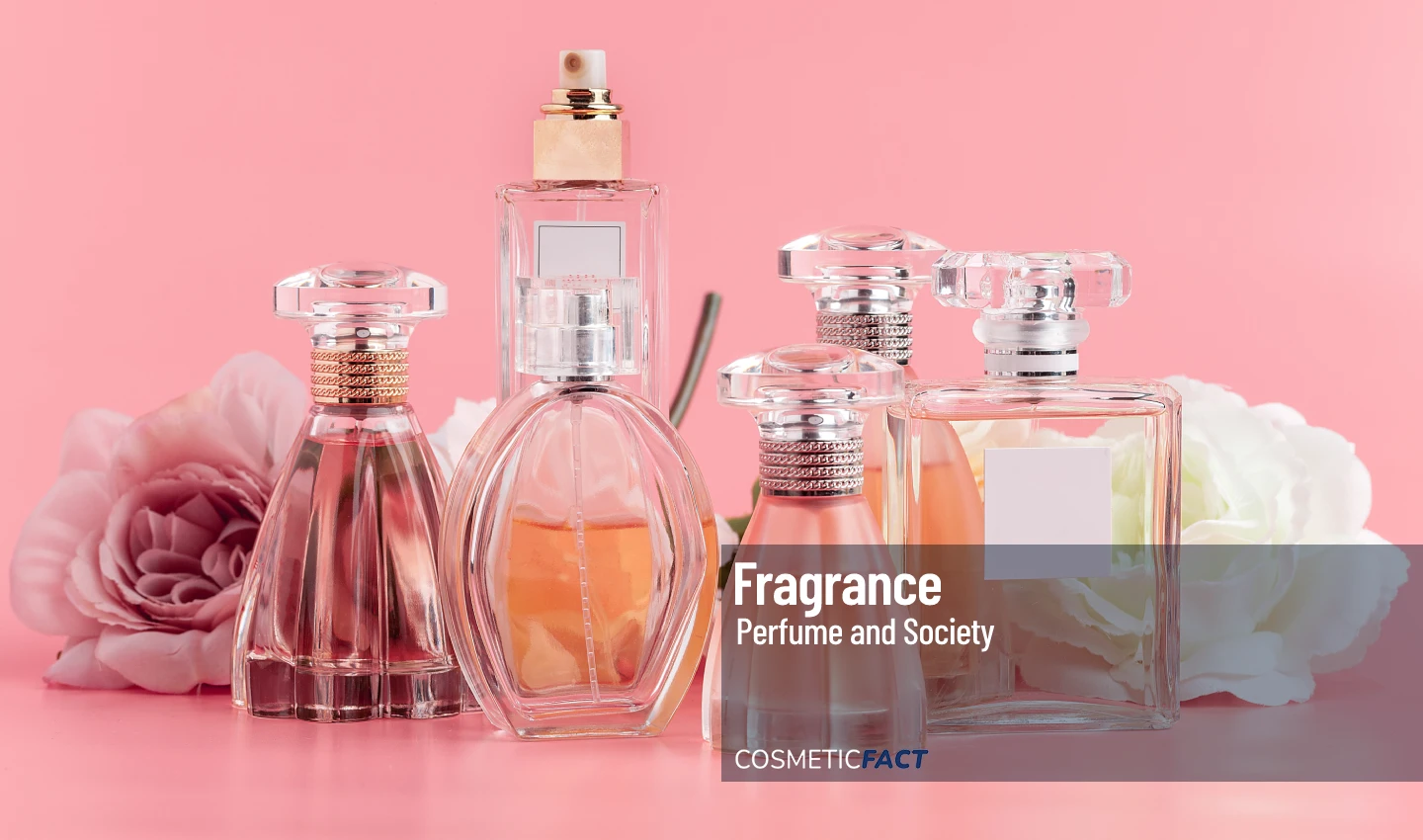 Collection of various perfume bottles, illustrating the diversity in the perfume industry and its hidden production impacts