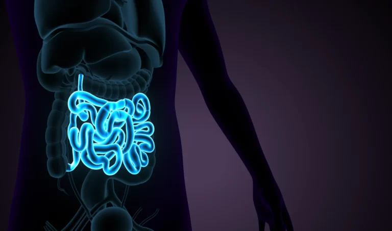 Illustration of the intestine, highlighting the connection between diet and youthful skin.