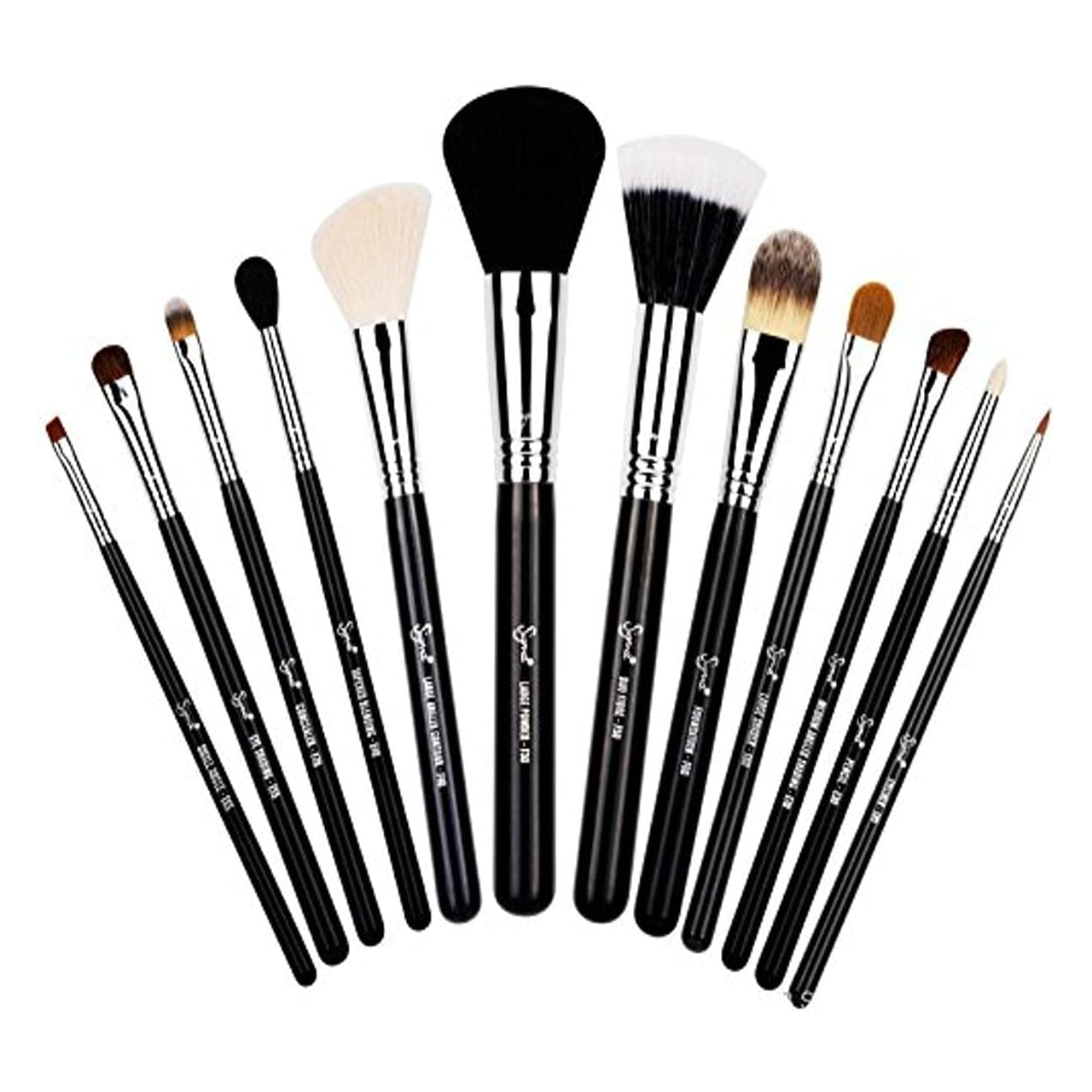 Sigma Essential makeup brush kit on a white background